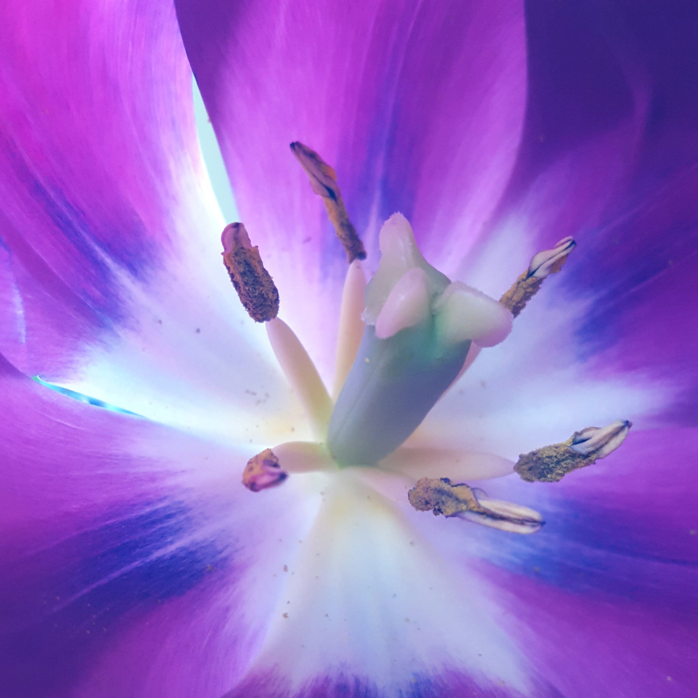 Meet your Posher, Michelle